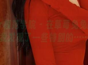 MFStar模范学院 – 在草莓兔兔的黑丝分享里，我发现了一些特别的……感觉。
