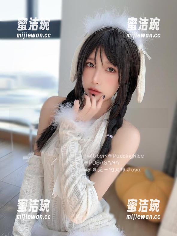 布丁大法 虎皮蛋糕狂热:一览布丁大法的精选套图
